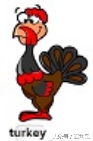 各种动物的英文单词视频,2-8岁儿童学动物英文单词