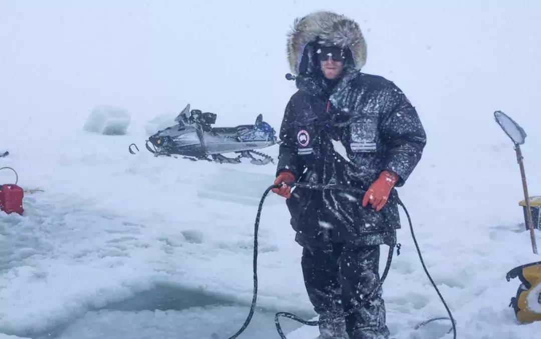 新加拿大鹅羽绒服,加拿大鹅羽绒服为什么火了