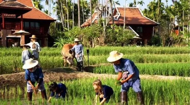 清迈酒店该如何选择，推荐你6家在闹市酒店，出门就能加入狂欢！