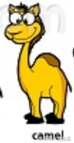 动物的英文单词都有哪些,动物英语单词13个