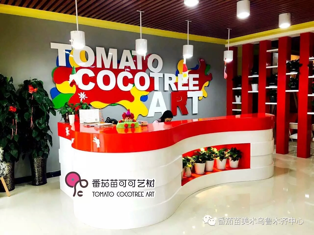 番茄苗美术中心,番茄苗美术中心靠谱吗