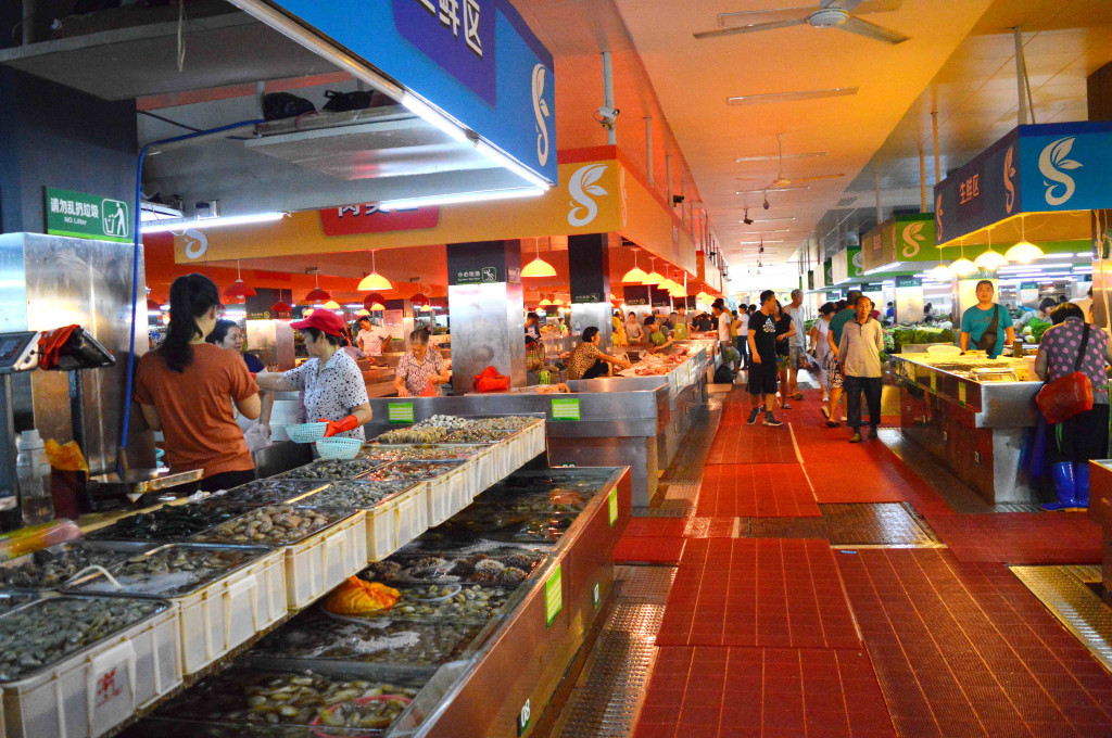 浪漫三亚视频,碧海蓝天椰风海韵浪漫三亚