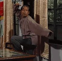 隐形蚊帐高清图片,隐形升降蚊帐电动