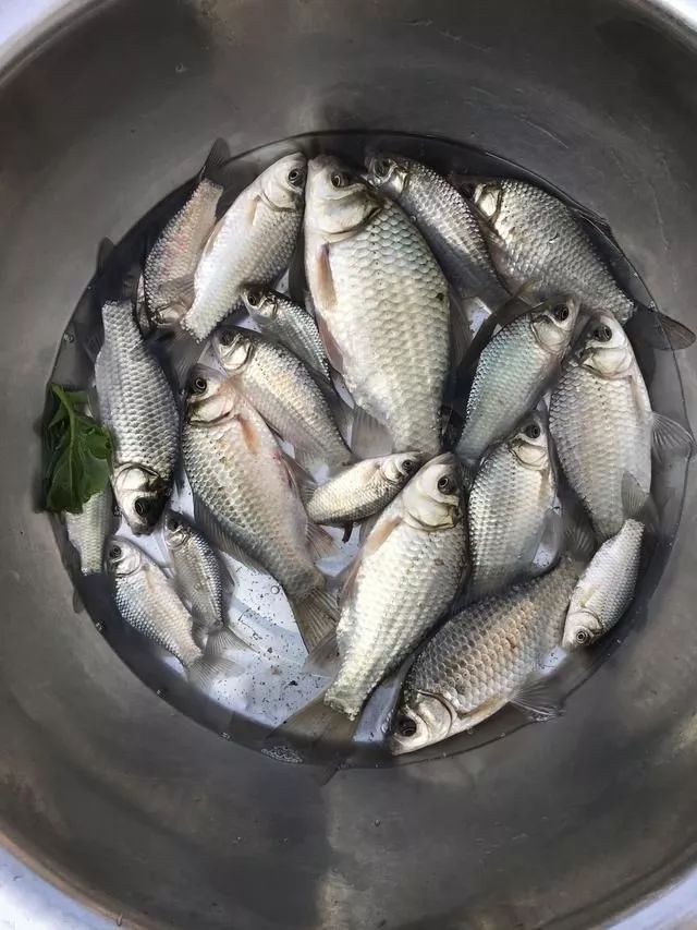 爆炸钩用好,你知道会有什么效果吗?