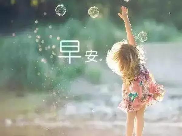 2024年1月15日生肖狗运势,2024年1月15日生肖属狗人的运势