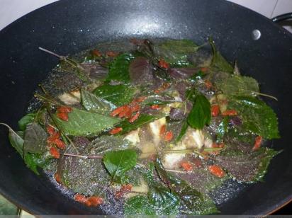 农村乡下水里的这些野货，你小时候有没有捉过？觉得好吃吗？