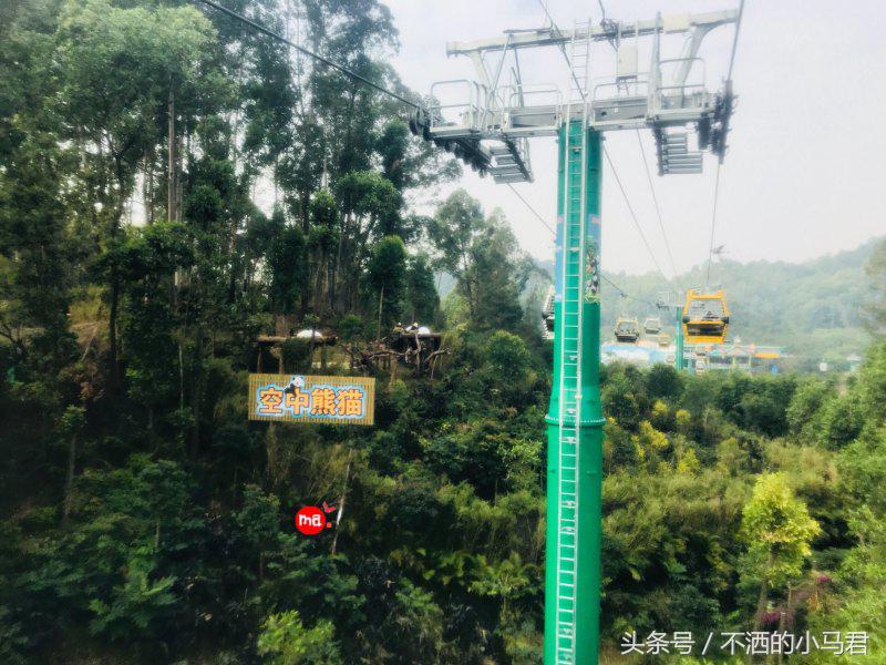 长隆野生动物园3天2晚亲子游,广州长隆野生动物园亲子游攻略