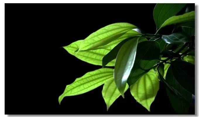 风水上卫生间应该注意什么,风水中如何消除湿气