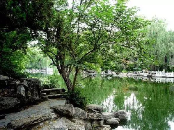 “山水诗之旅”到底是怎样的一场旅行？为什么吸引这么多大咖前往探秘？