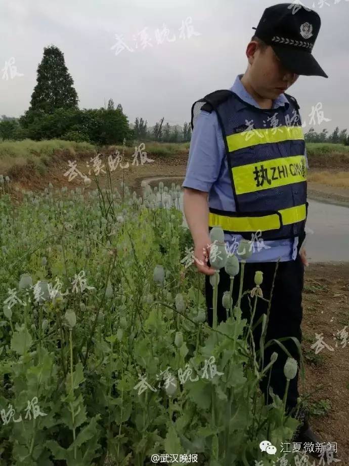 夫妻卖掉出生仅5天的儿子,夫妻卖掉刚生的儿子