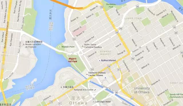 郁金香花节,全世界最大的郁金香