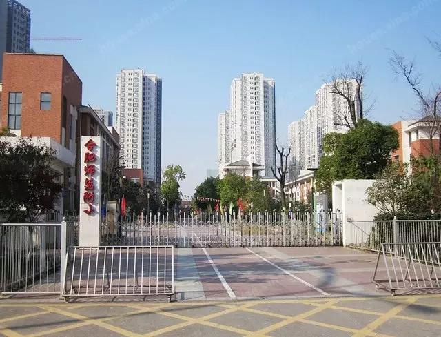 合肥最牛逼的小学,合肥最好十所小学