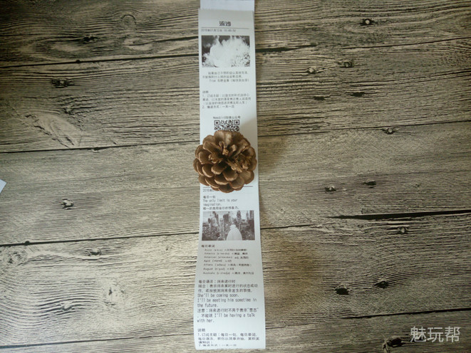 乐趣挡不住——咕咕热敏打印机体验