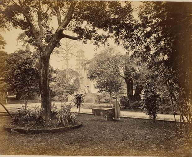 三鞭参茸固本丸功效与作用禁忌,同仁堂固本丸