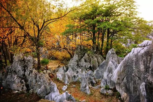 五一杭州千岛湖自驾游攻略,游千岛湖最佳季节