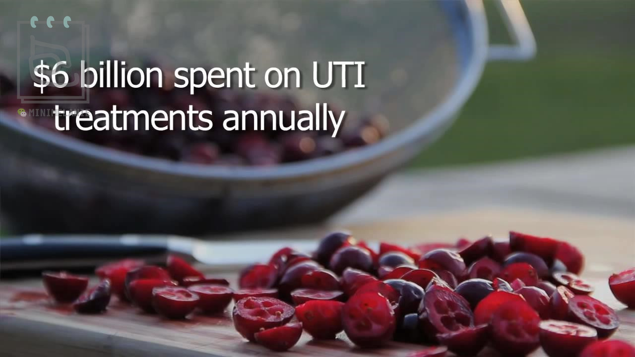 北美红宝石蔓越莓干,北美顶级红宝石蔓越莓