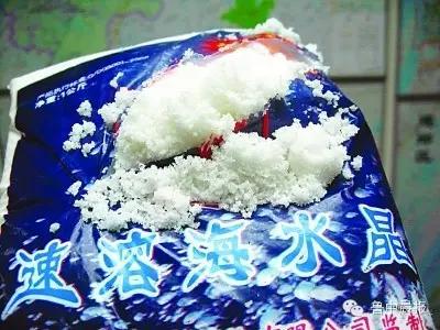 往水里扔一把“白色粉末”，一动不动的花蛤立马“回光返照”！这