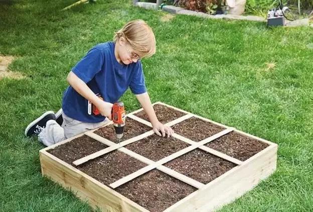 北美大叔玩起真实版开心农场,1平米菜园竟成国际潮流