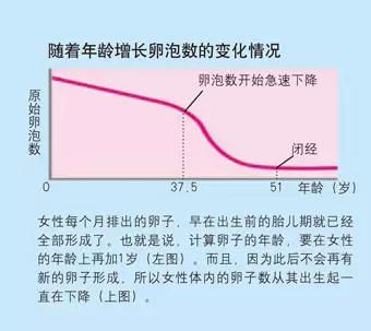 鏄ラ洦鍥介檯璺ㄥ鍖荤枟,鏄ラ洦鍥介檯绉诲姩鍖荤枟