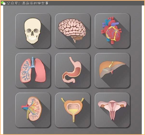 高血压病不治疗的危害