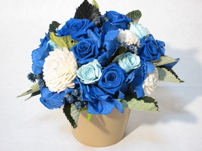 农业创业项目农村致富项目,现在农村有什么好的致富项目