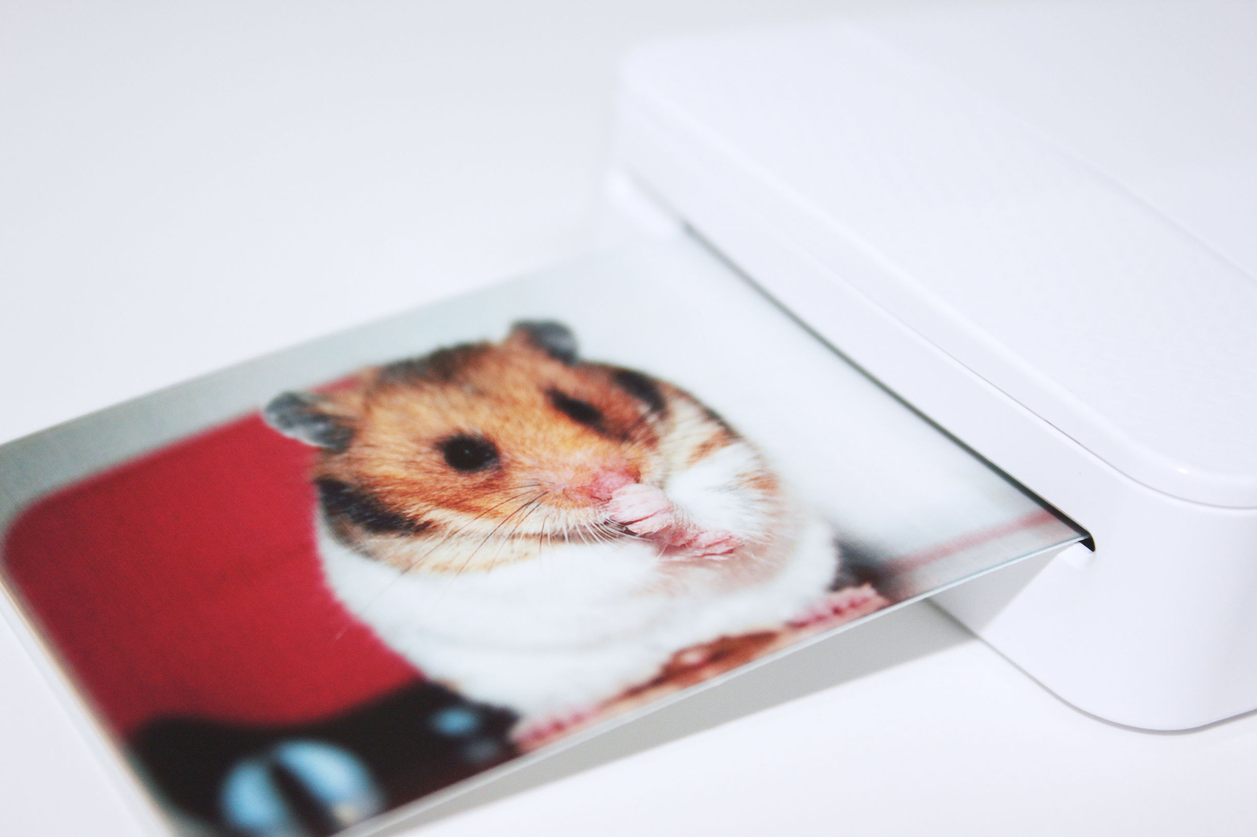 口袋照片打印机测评,口袋照片打印机1寸照片