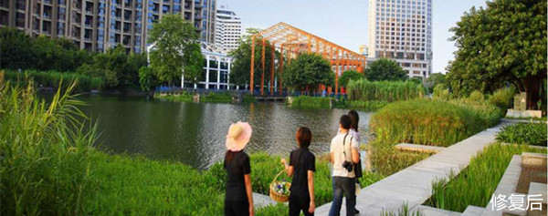 城市双修是什么,城市双修纪实