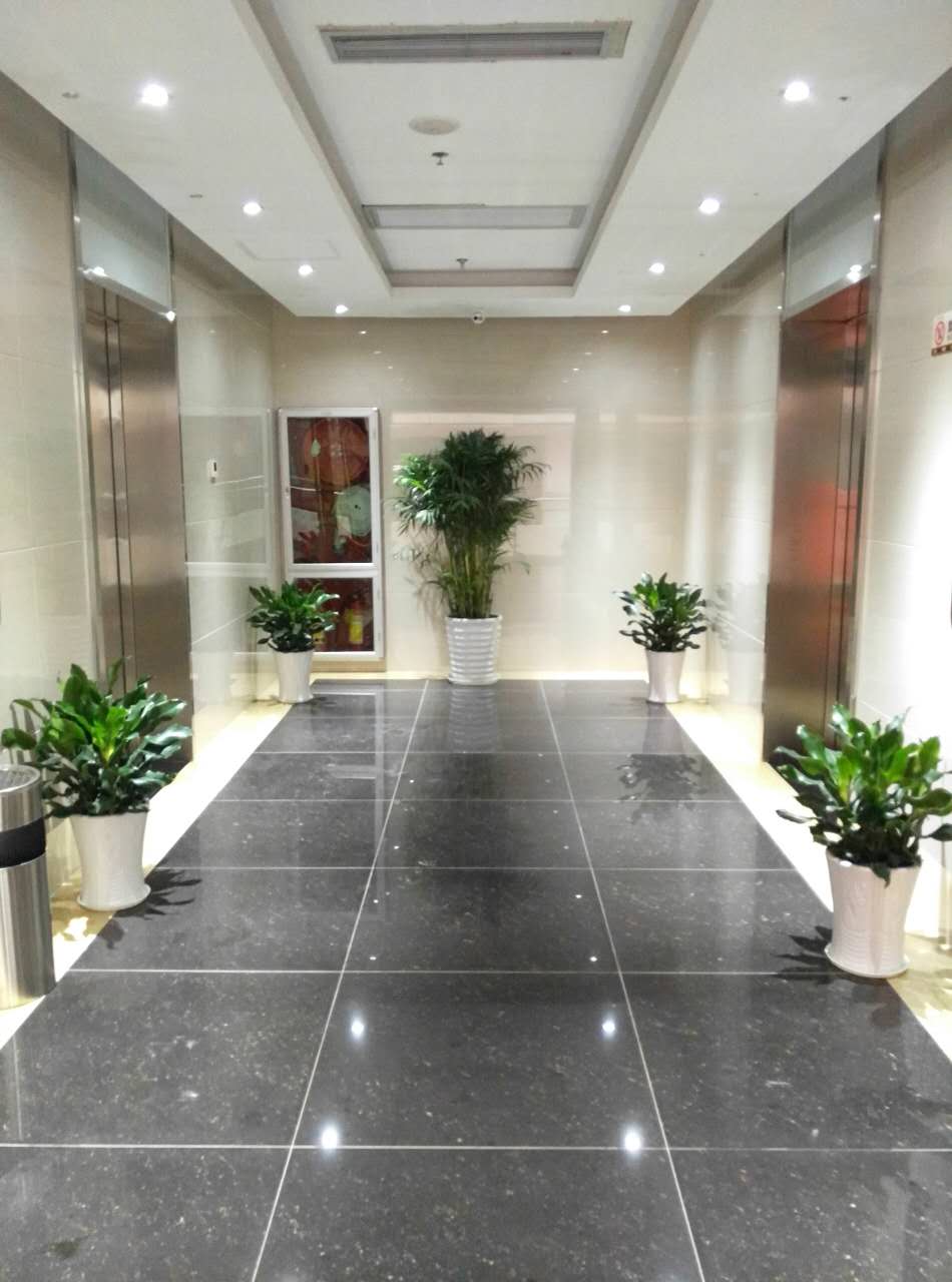 探访本地公司,参观别人家公司