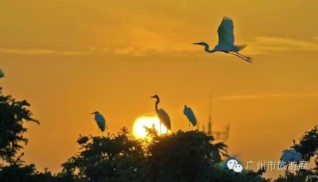 广州洗肺又小众的山水秘境,广州清幽景点