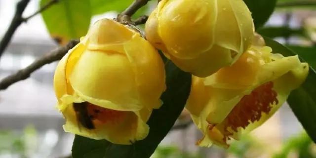 南宁旅游详细攻略,南宁旅游攻略有海吗