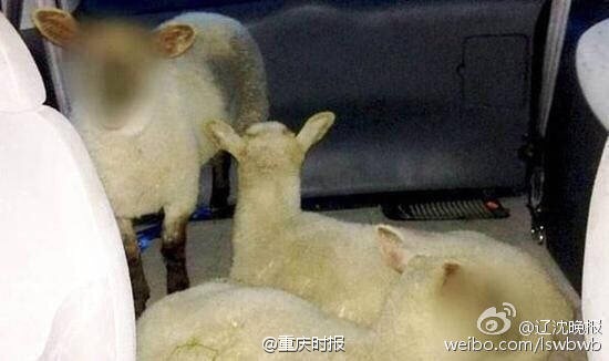 奇案再现存折里十万元离奇失踪,百元大钞从天而降是什么情况