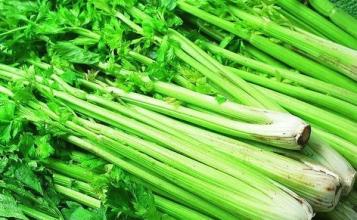 牙齿很黄如何美白牙齿,牙齿偏黄怎么办怎么美白