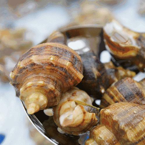 京城最贵海鲜自助餐厅,京城最过瘾的自助餐