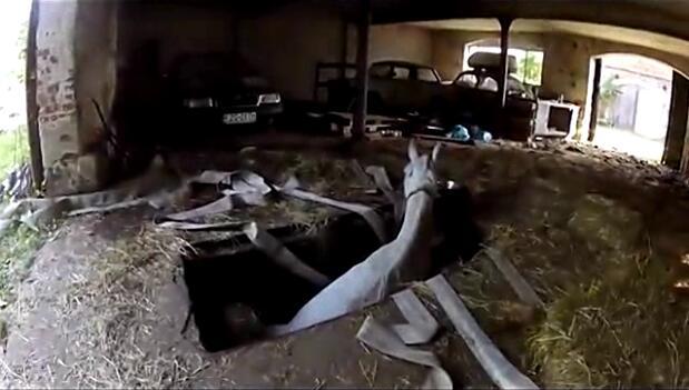 马卡深坑生命垂危，主人的一句话令它产生求生欲望，重获自由