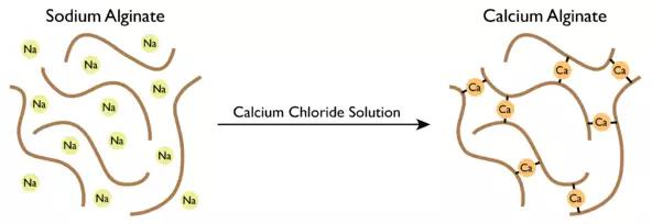 海蜇加工的危害,人造海蜇合法吗