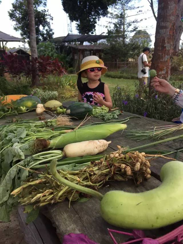 悦榕庄banyantree酒店,新加坡民丹岛酒店攻略