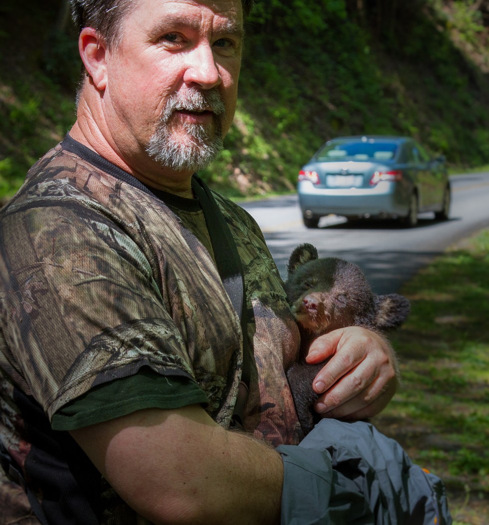 食物匮乏母豹抛弃幼崽,食物短缺被饿死的幼崽