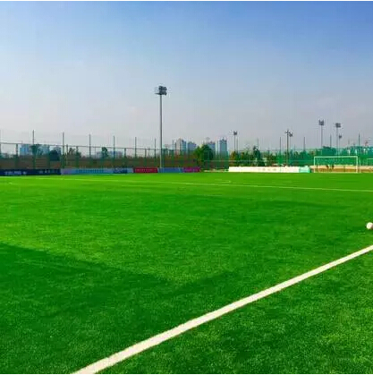 澶ц繛閾惰瓒崇悆,澶ц繛閾惰鎴愰兘鍒嗚