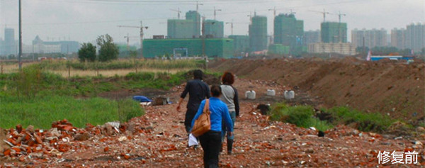 城市双修是什么,城市双修纪实