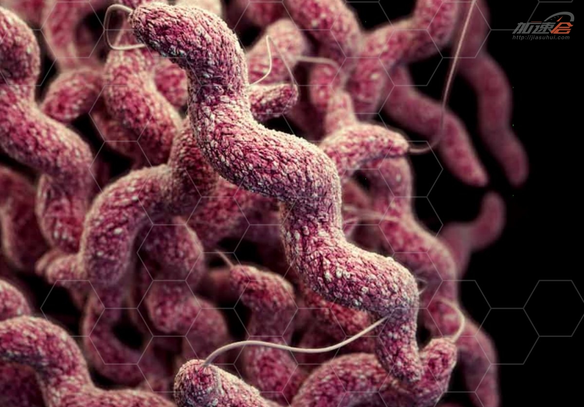 为什么有的人更容易被蚊子叮,容易被蚊子咬的原因是什么