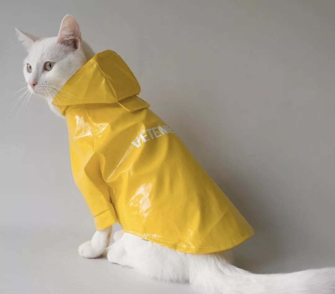 十二生肖驾到，时尚精们给我退下！