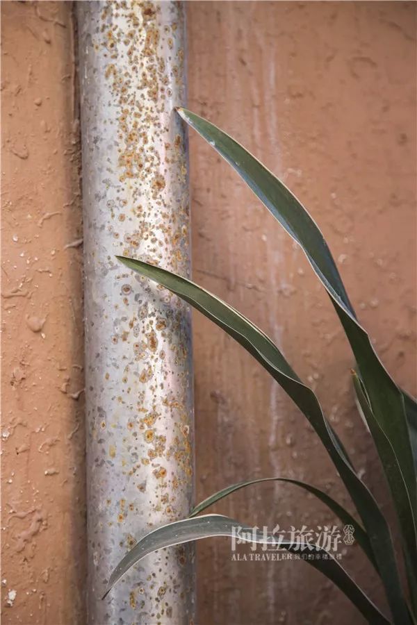 鄞州区姜山老街,姜山古街历史