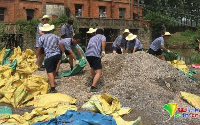 青马是什么马图片,大青马和一般的马