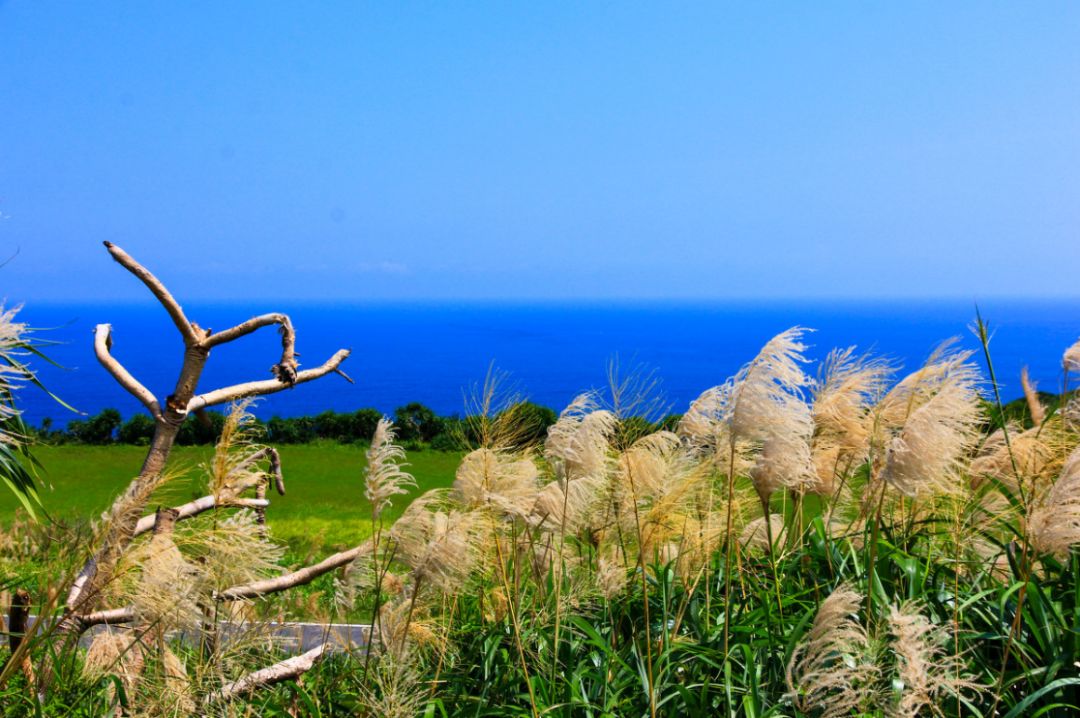 台湾最文艺的地方是哪里,台湾真正的文艺之地