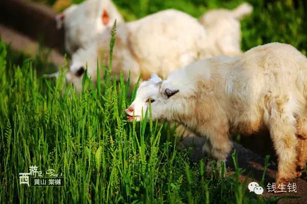 小两口自驾游19000多公里，西行64天，超美！