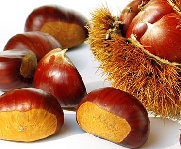 天冷了应该做什么浪漫的事,天冷了能干什么呢