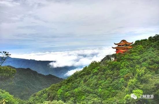 春运安全礼包送给即将踏上归途,春运安全出行指南来了