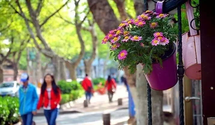 这家酒店复古而优雅,这家酒店科技感满满