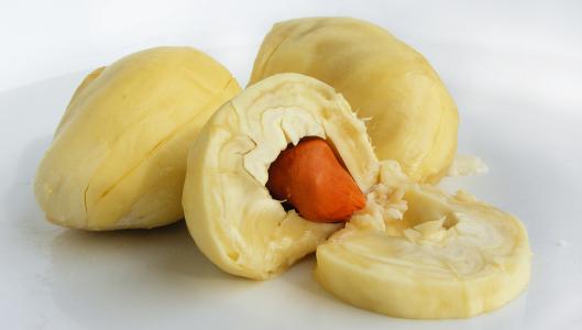 榴莲种花盆里,榴莲籽种成小盆栽只需五步