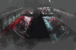 最恐怖的鬼屋藤木病院,世界上最恐怖的藤木病院